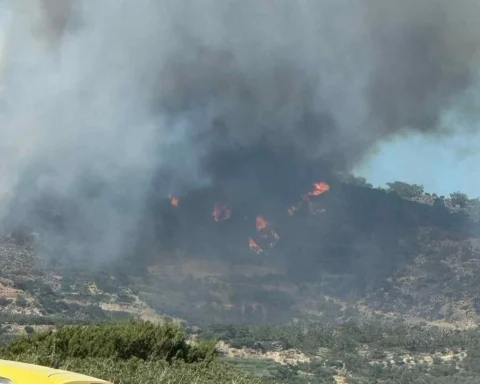 Όταν ο καπνός ταξιδεύει: Γιατί μια φωτιά χιλιάδες χιλιόμετρα μακριά μπορεί να φτάσει μέχρι τους πνεύμονές μας