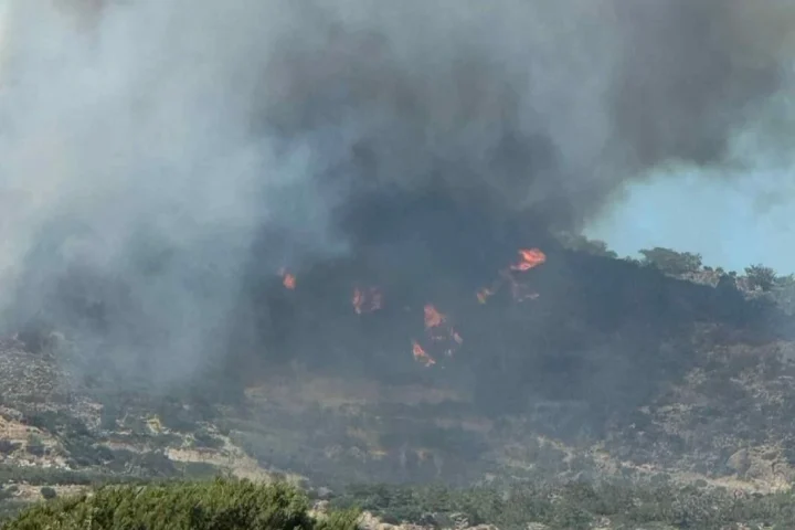 Όταν ο καπνός ταξιδεύει: Γιατί μια φωτιά χιλιάδες χιλιόμετρα μακριά μπορεί να φτάσει μέχρι τους πνεύμονές μας